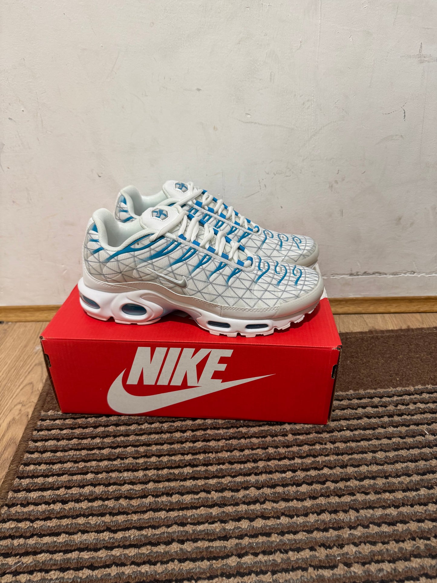 Nike Air max Plus Broj 43(Odmah dostupno)