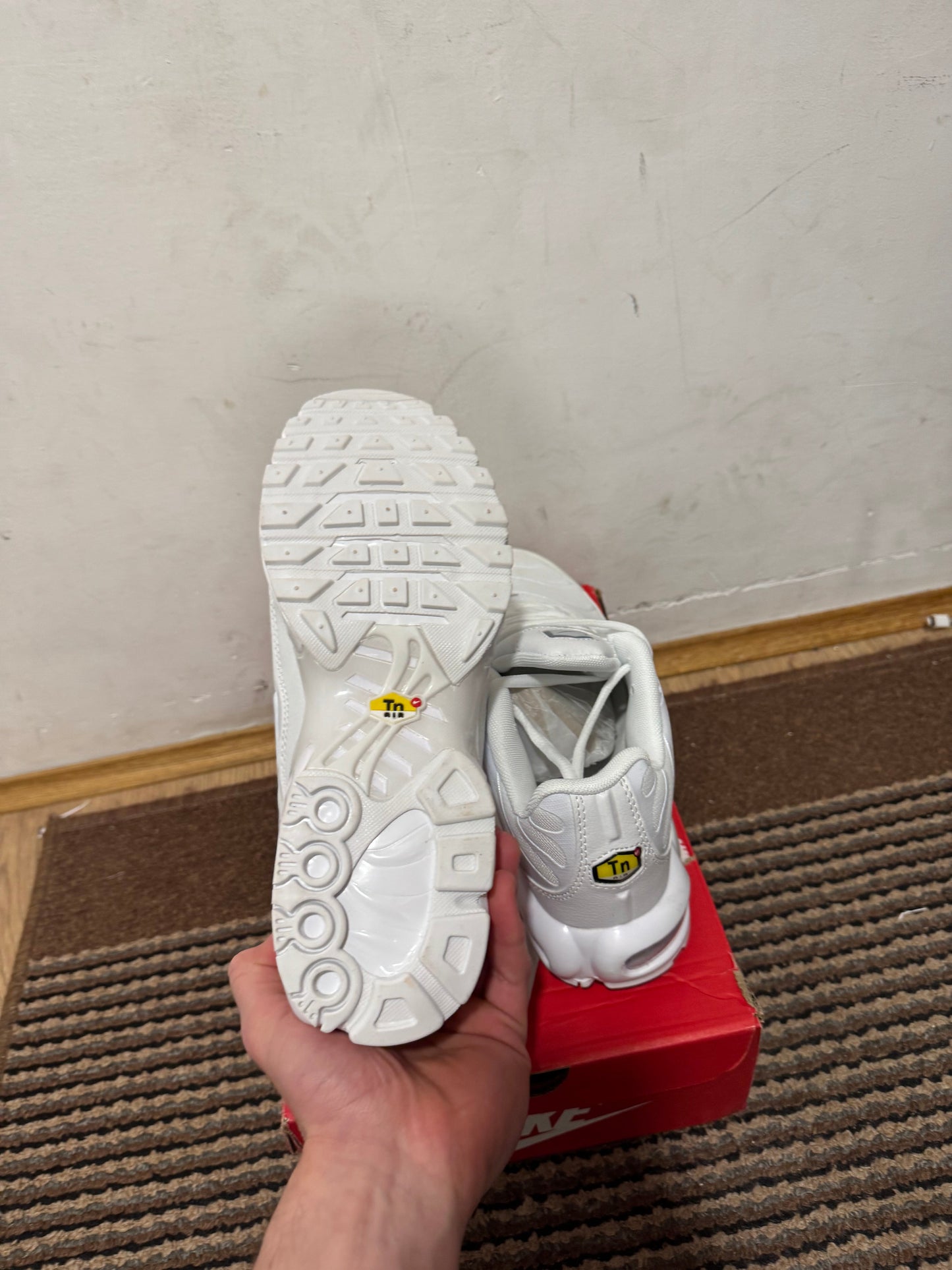 Nike Air max Plus Broj 40(Odmah dostupno)