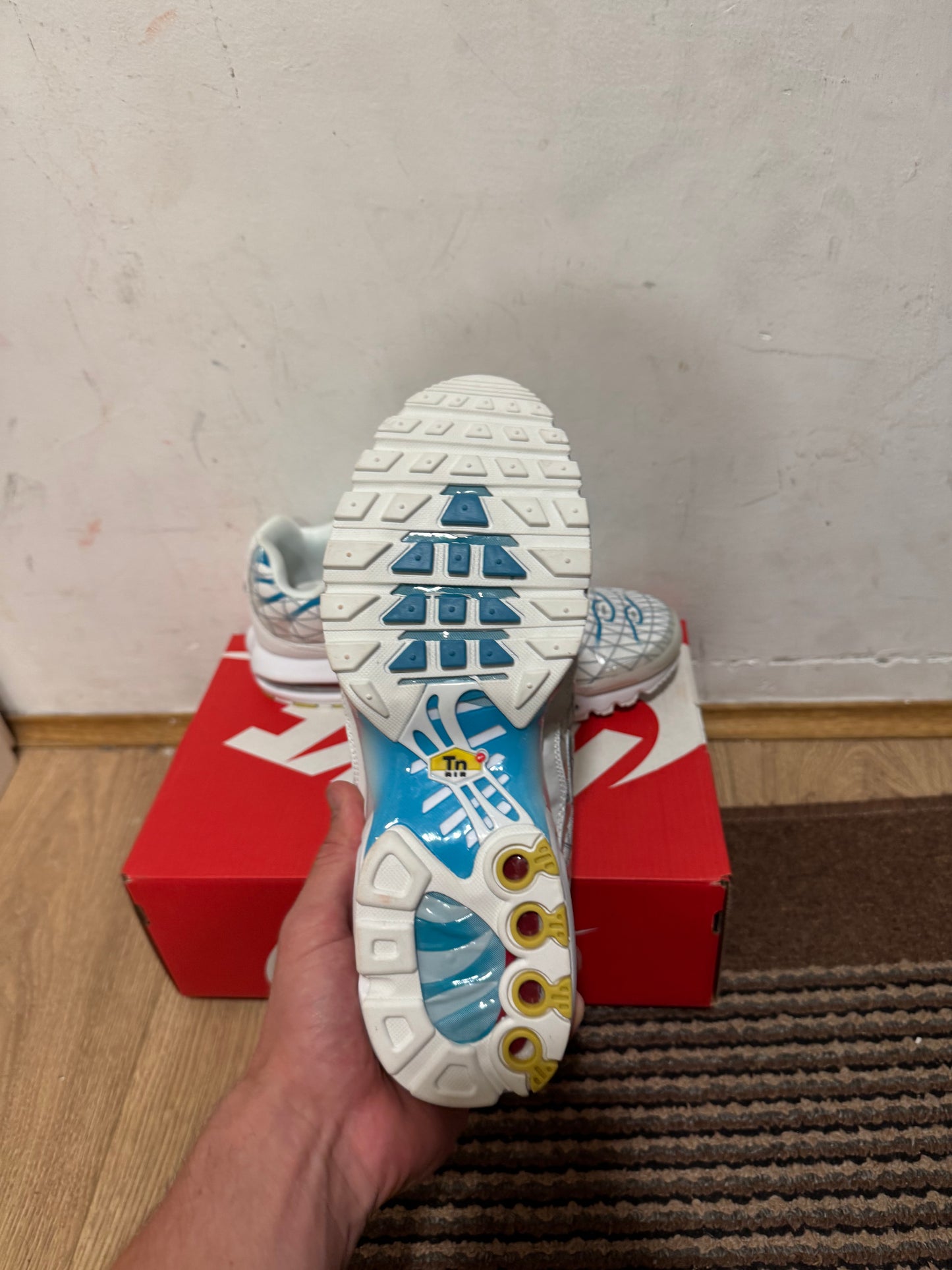 Nike Air max Plus Broj 43(Odmah dostupno)