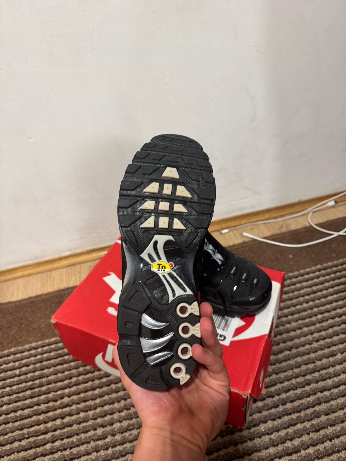 Nike Air max Plus Broj 41(Odmah dostupno)