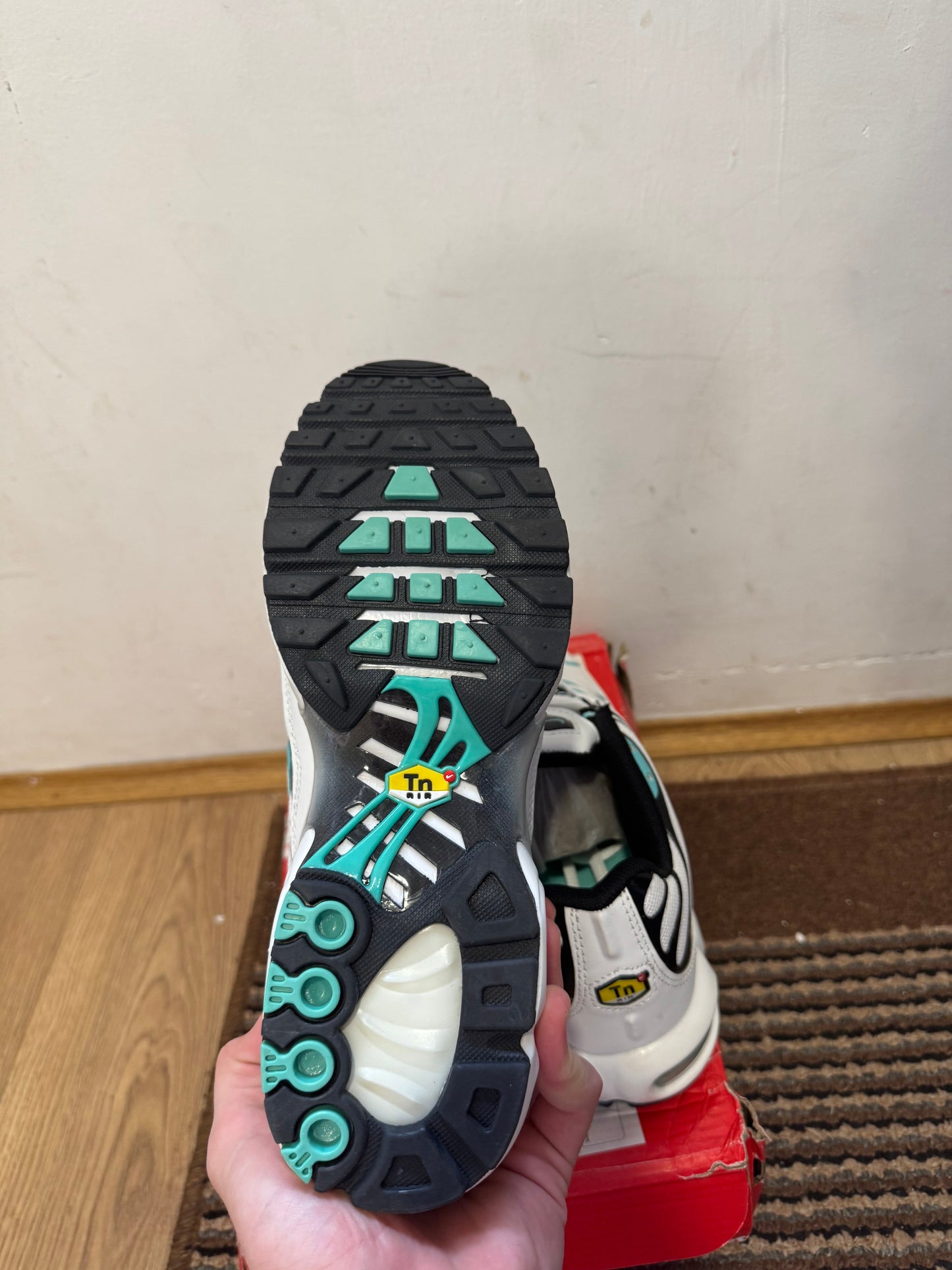Nike Air max Plus Broj 41 (Odmah dostupno)