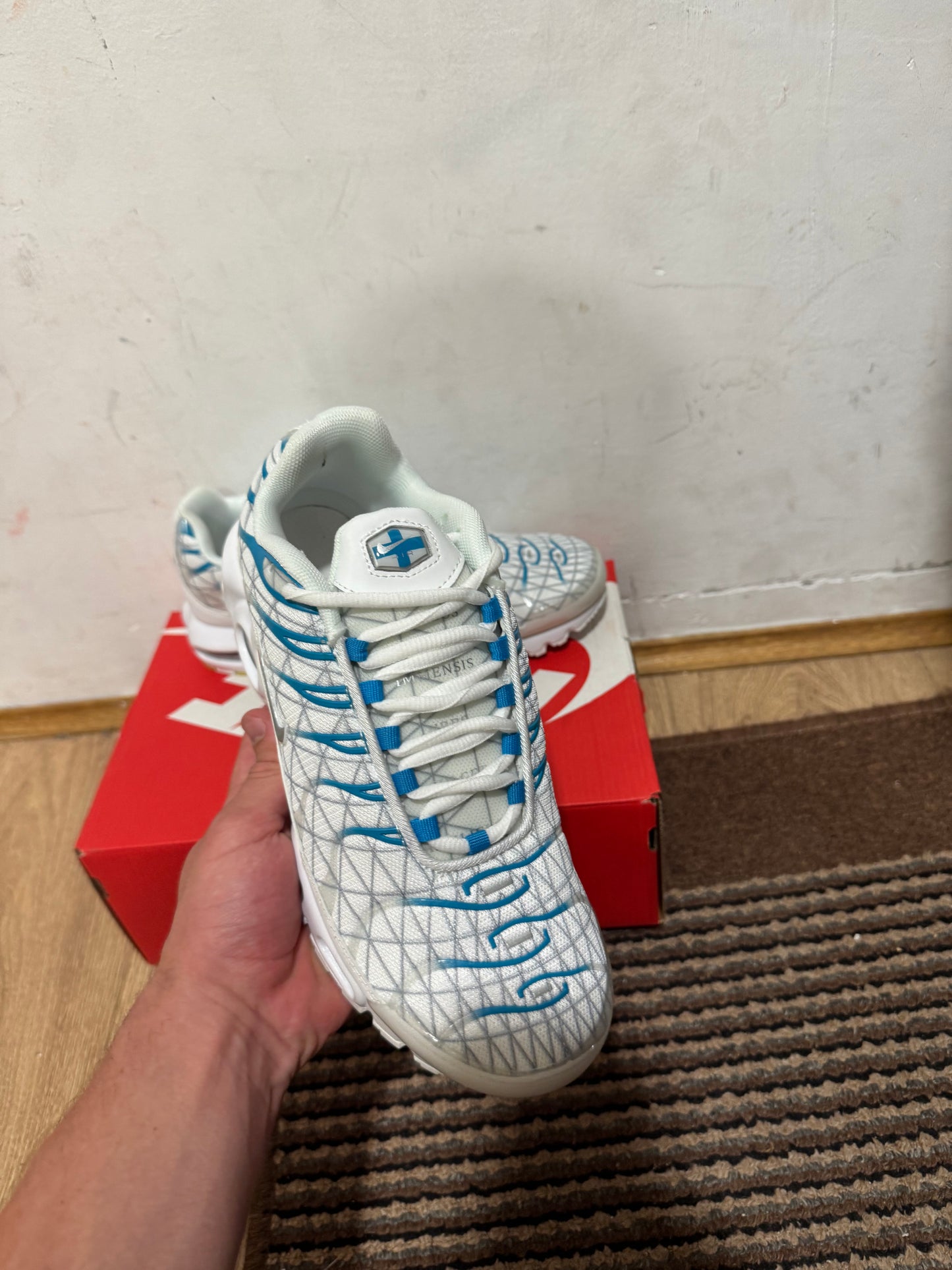 Nike Air max Plus Broj 43(Odmah dostupno)