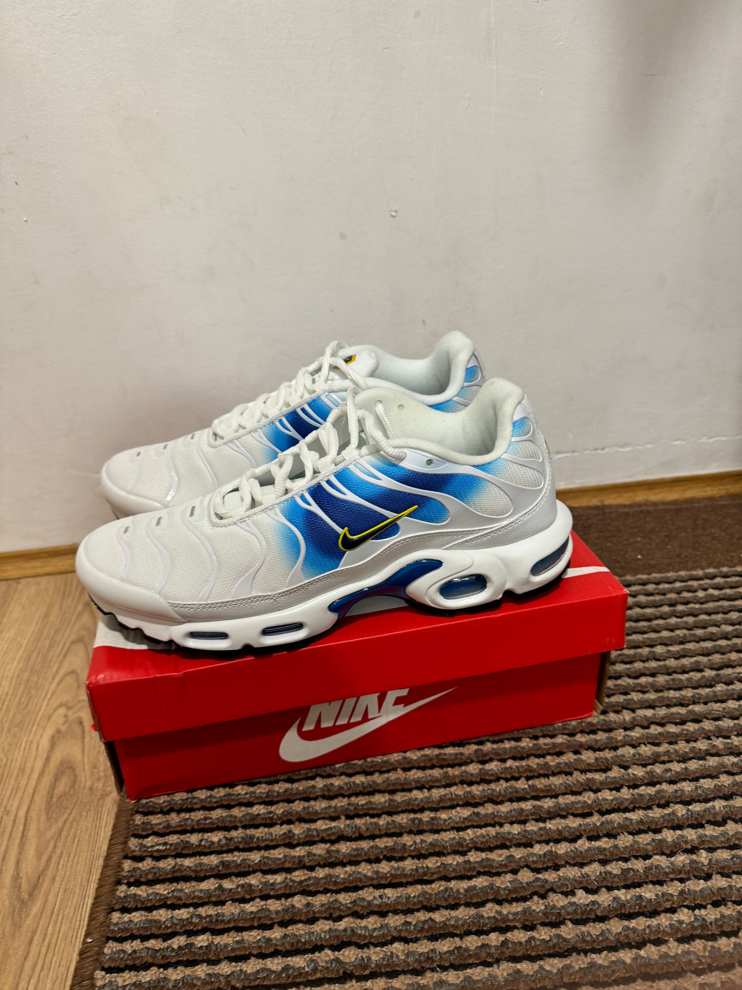 Nike Air max Plus Broj 45 (Odmah dostupno)