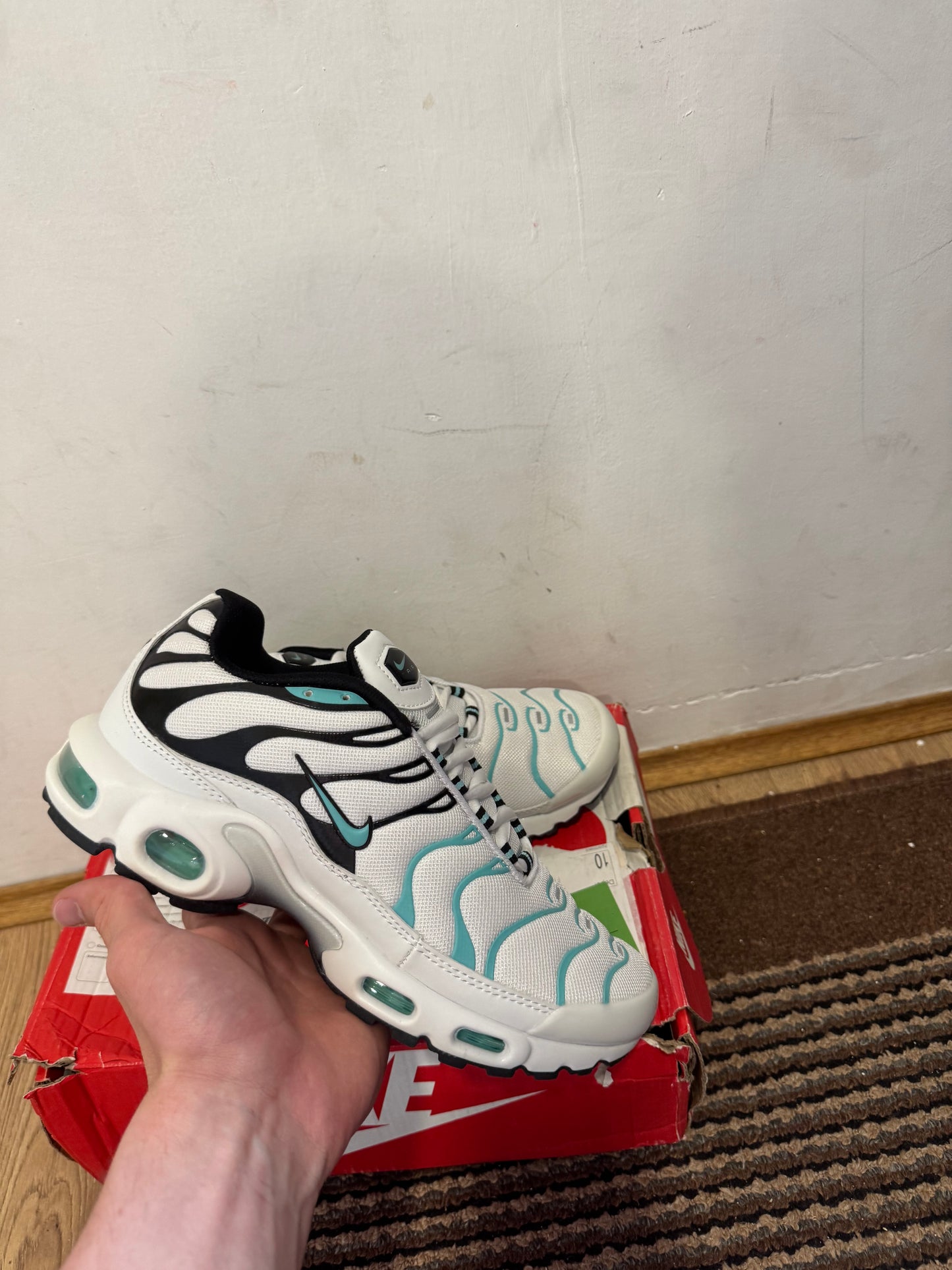 Nike Air max Plus Broj 41 (Odmah dostupno)