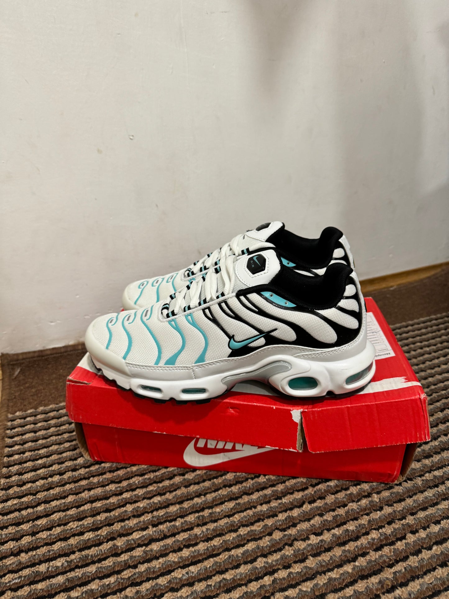 Nike Air max Plus Broj 41 (Odmah dostupno)