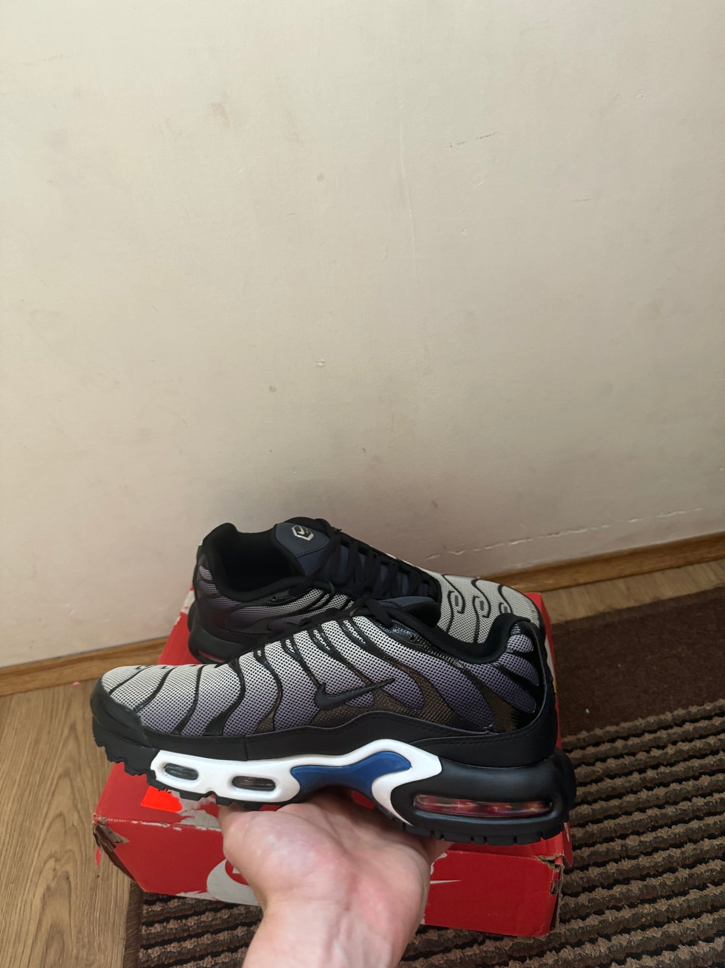 Nike Air max Plus Broj 43 (Odmah dostupno)