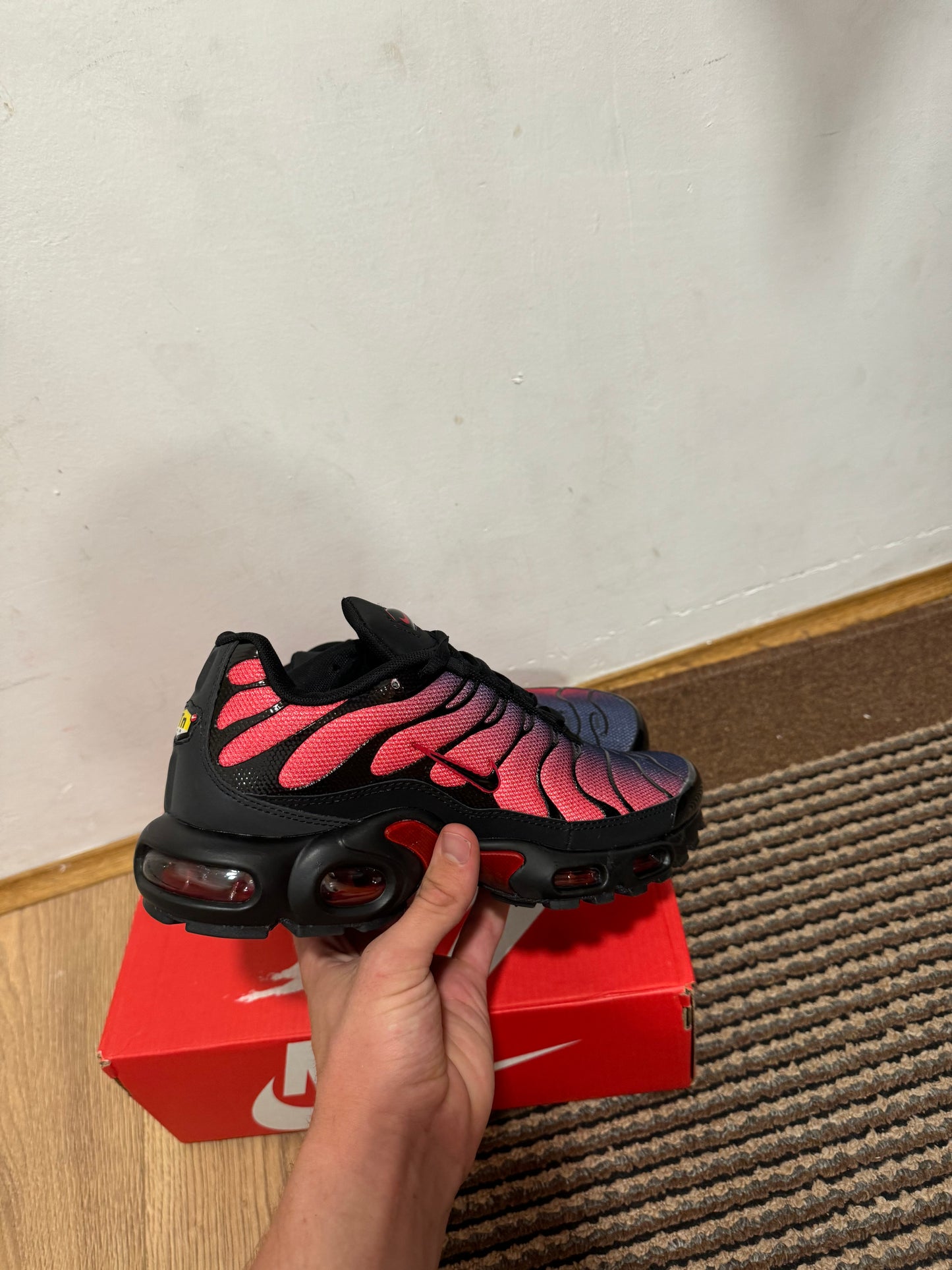 Nike Air max Plus Broj 42(Odmah dostupno)