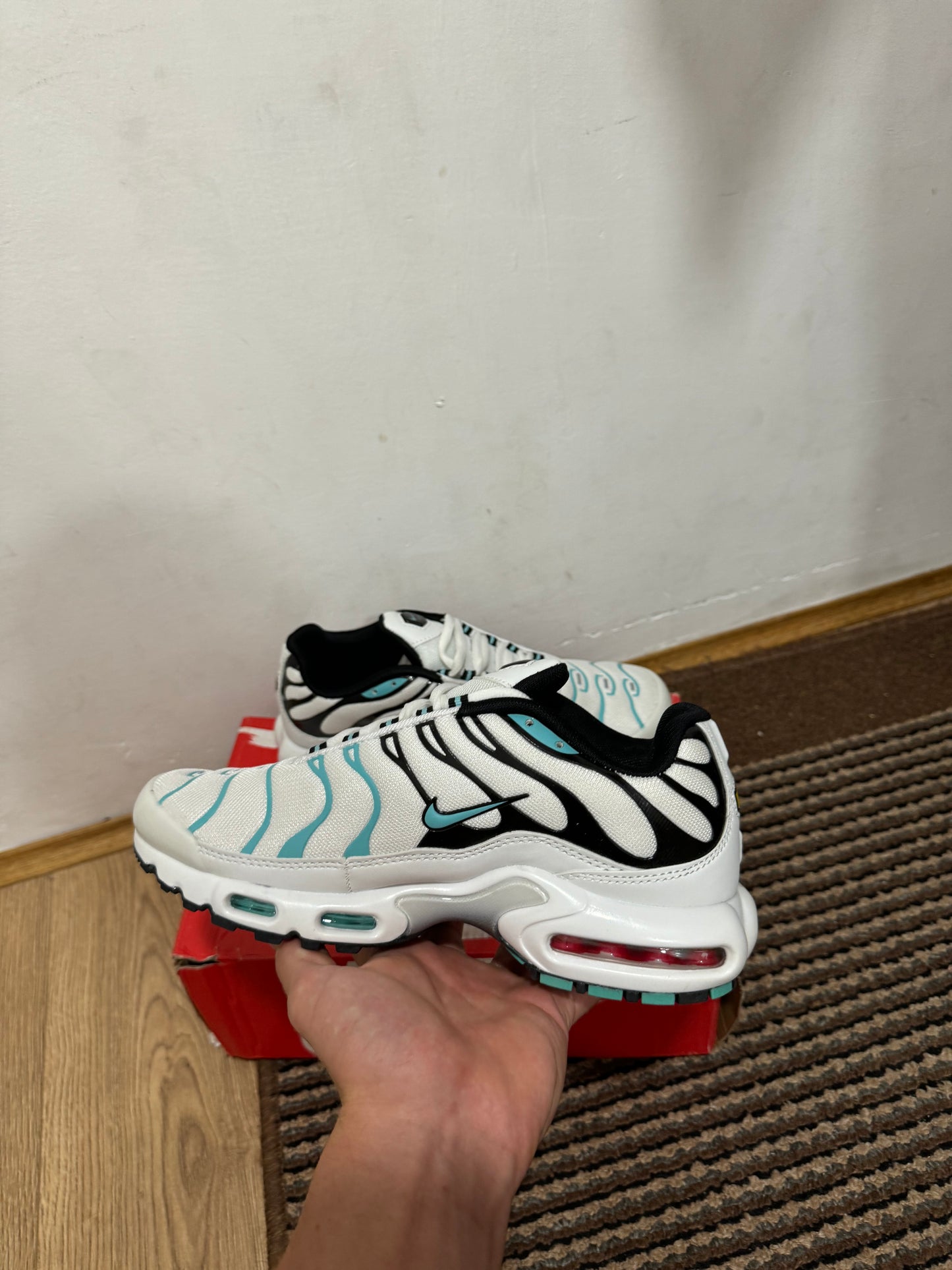 Nike Air max Plus Broj 41 (Odmah dostupno)