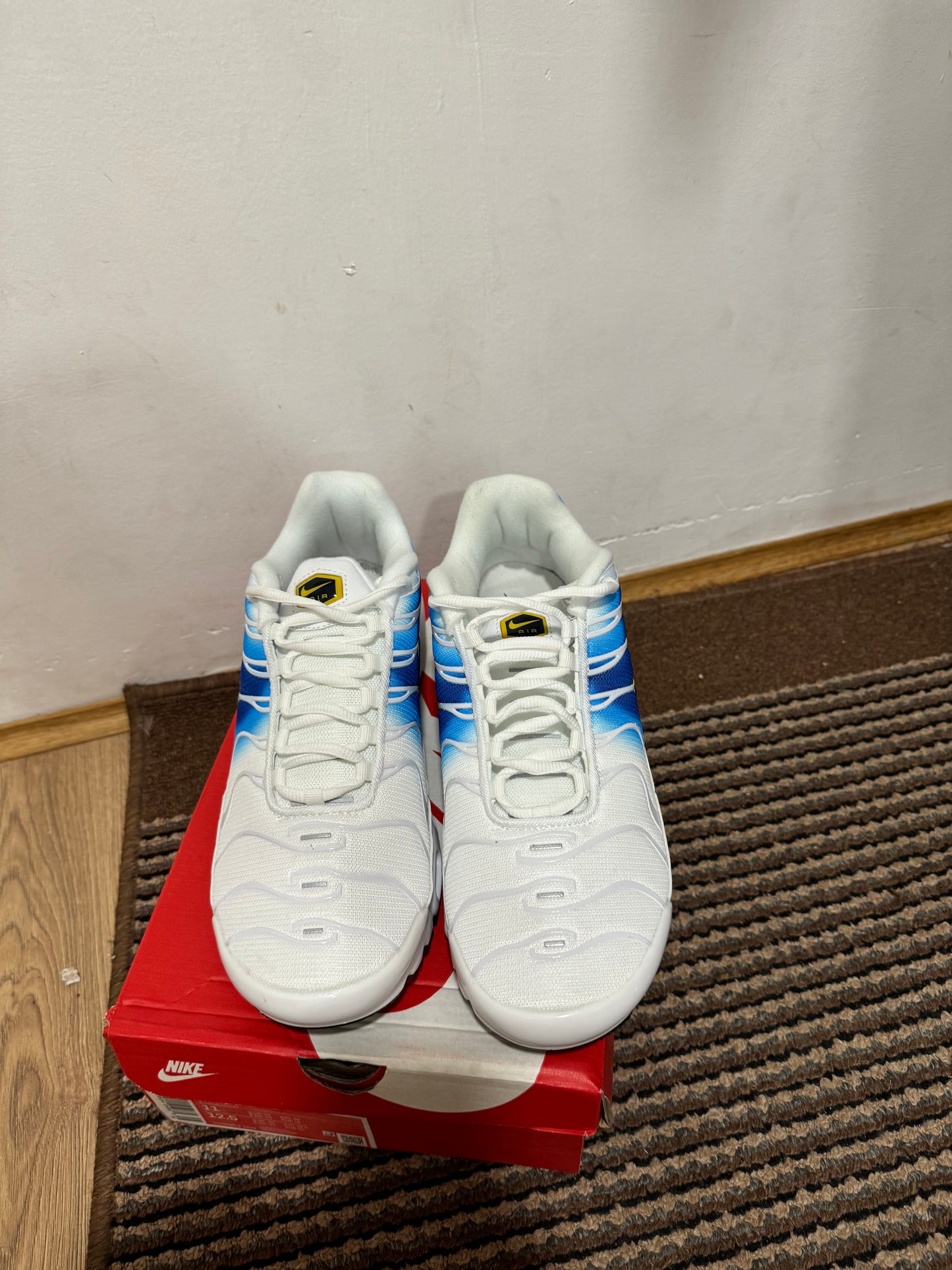 Nike Air max Plus Broj 45 (Odmah dostupno)