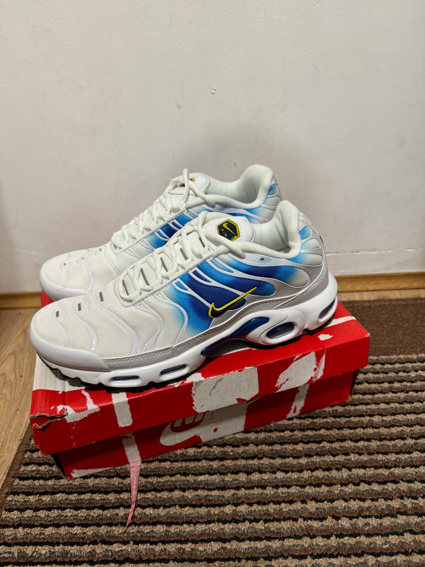 Nike Air max Plus Broj 45 (Odmah dostupne)