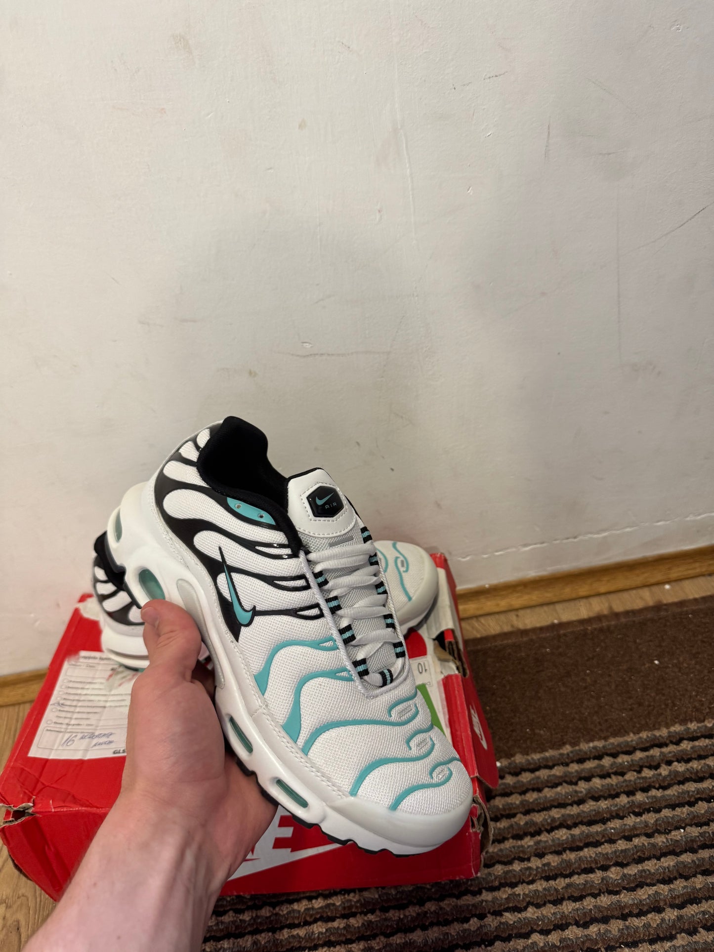 Nike Air max Plus Broj 41 (Odmah dostupno)