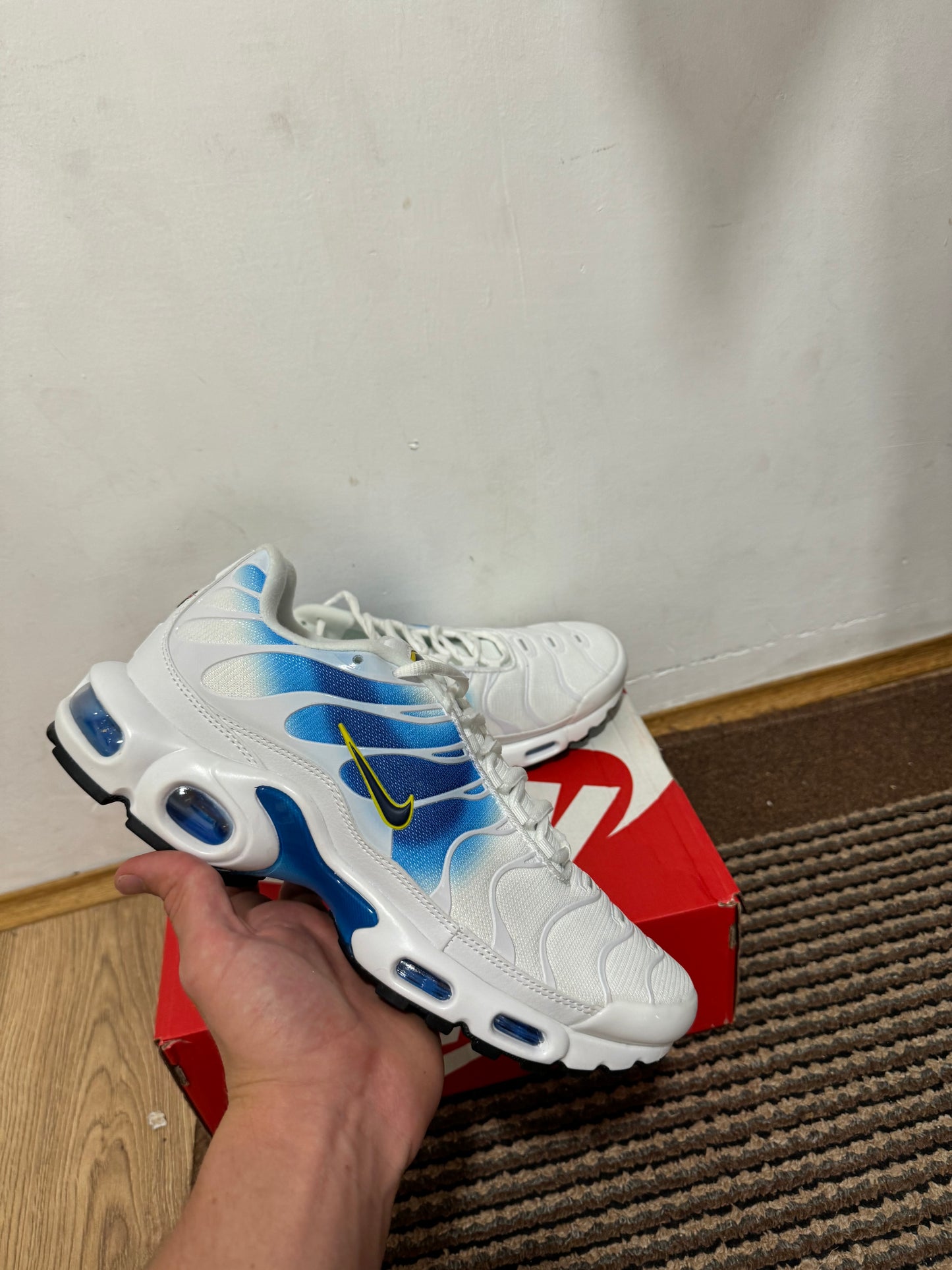 Nike Air max Plus Broj 45 (Odmah dostupno)