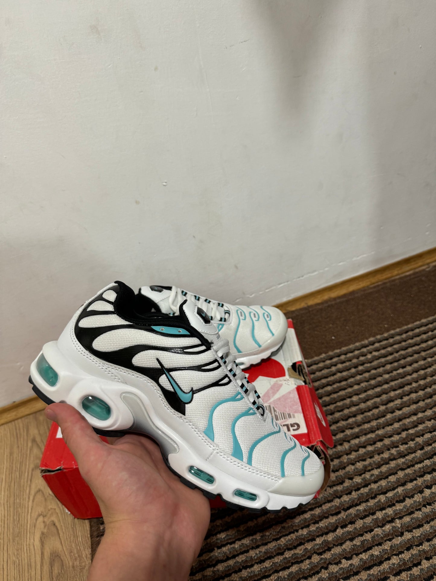 Nike Air max Plus Broj 41 (Odmah dostupno)