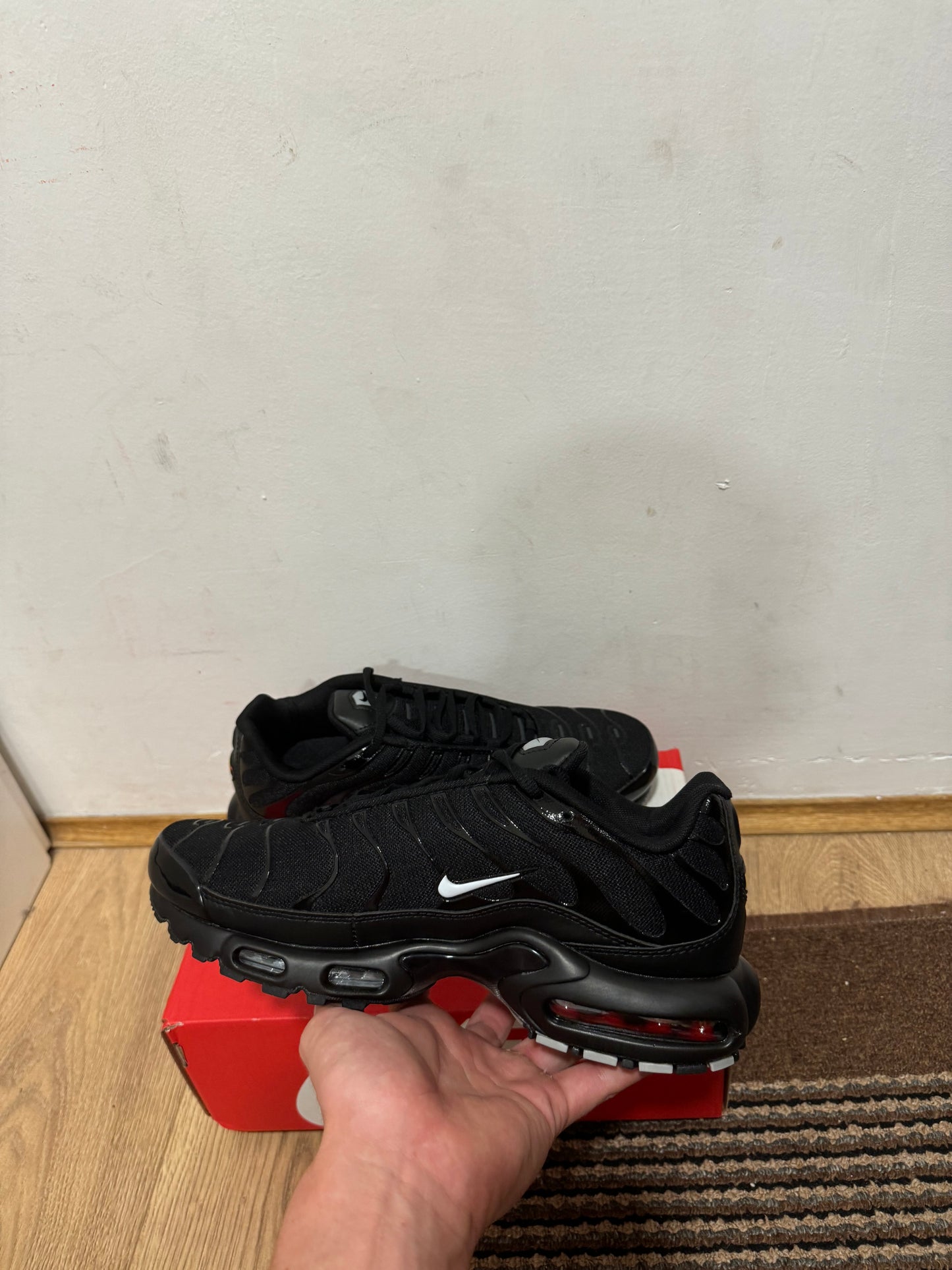 Nike Air max Plus Broj 43 (Odmah dostupno)