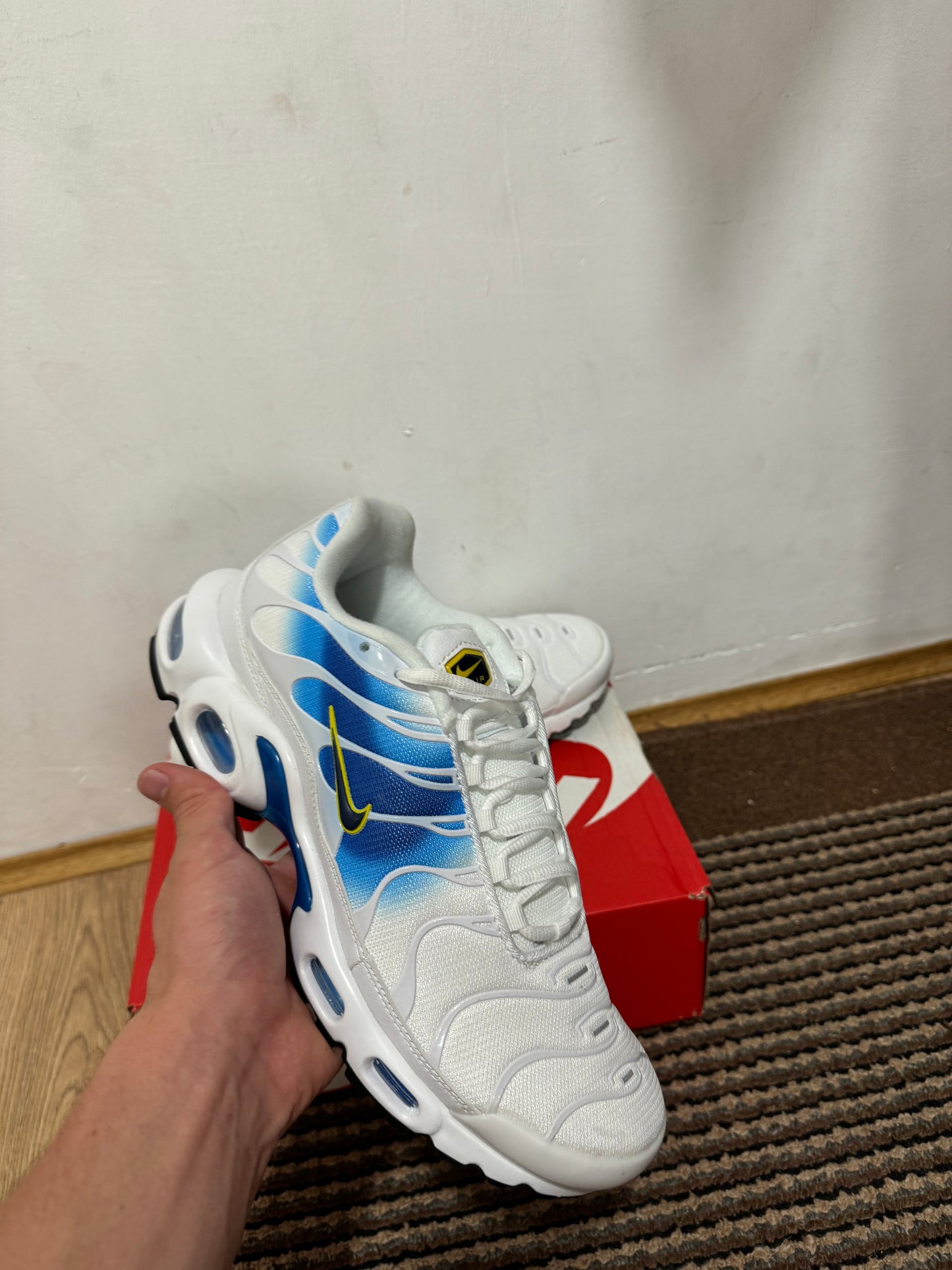 Nike Air max Plus Broj 45 (Odmah dostupno)