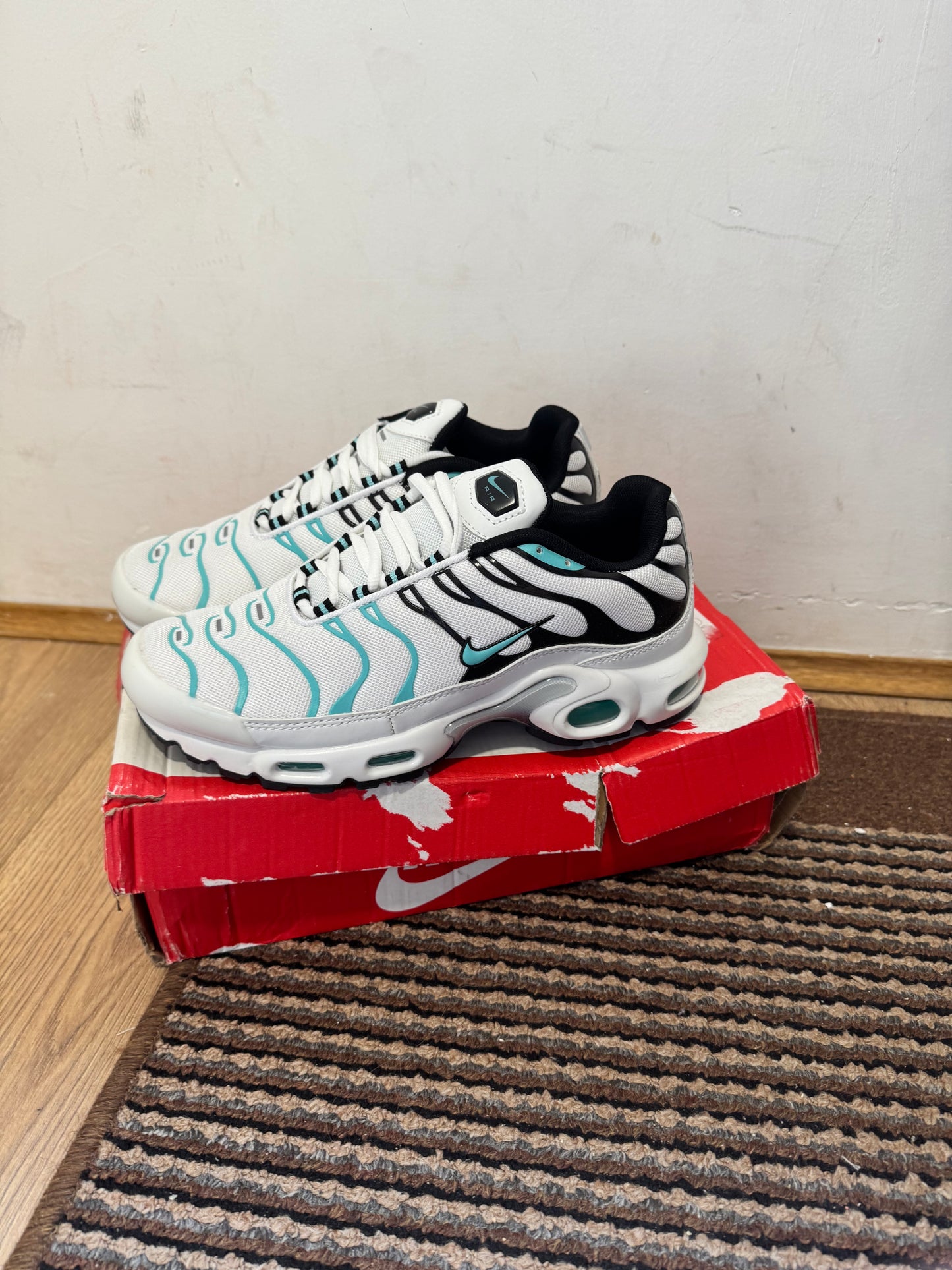 Nike Air max Plus Broj 41 (Odmah dostupno)