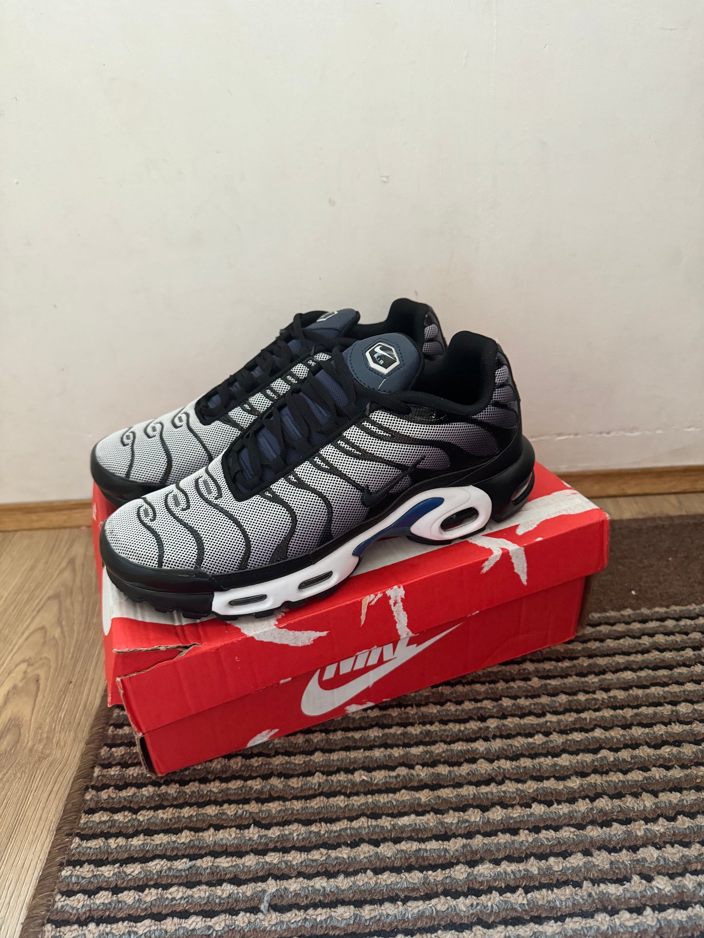 Nike Air max Plus Broj 43 (Odmah dostupno)