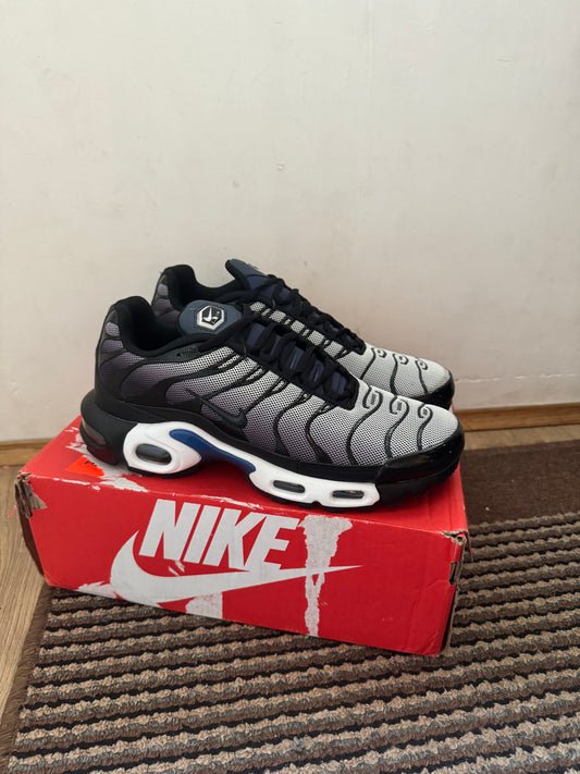 Nike Air max Plus Broj 43 (Odmah dostupno)