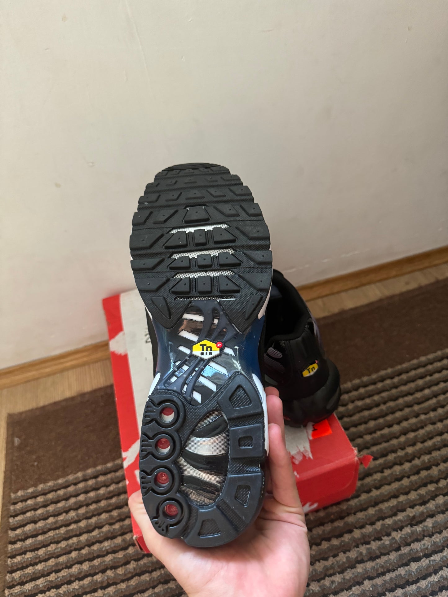 Nike Air max Plus Broj 43 (Odmah dostupno)