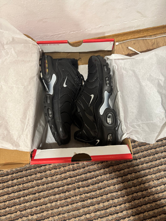 Nike Air max Plus Broj 41(Odmah dostupno)