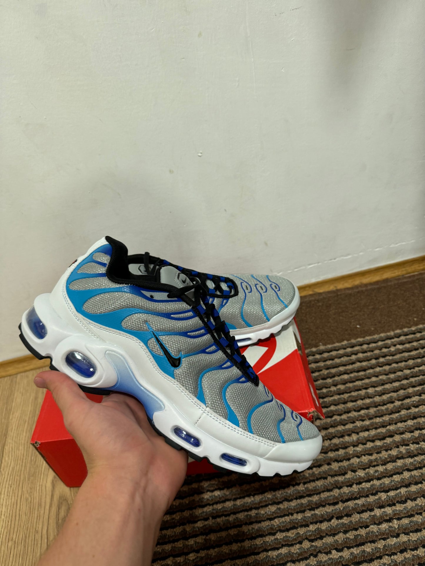 Nike Air max Plus Broj 45 (Odmah dostupno)