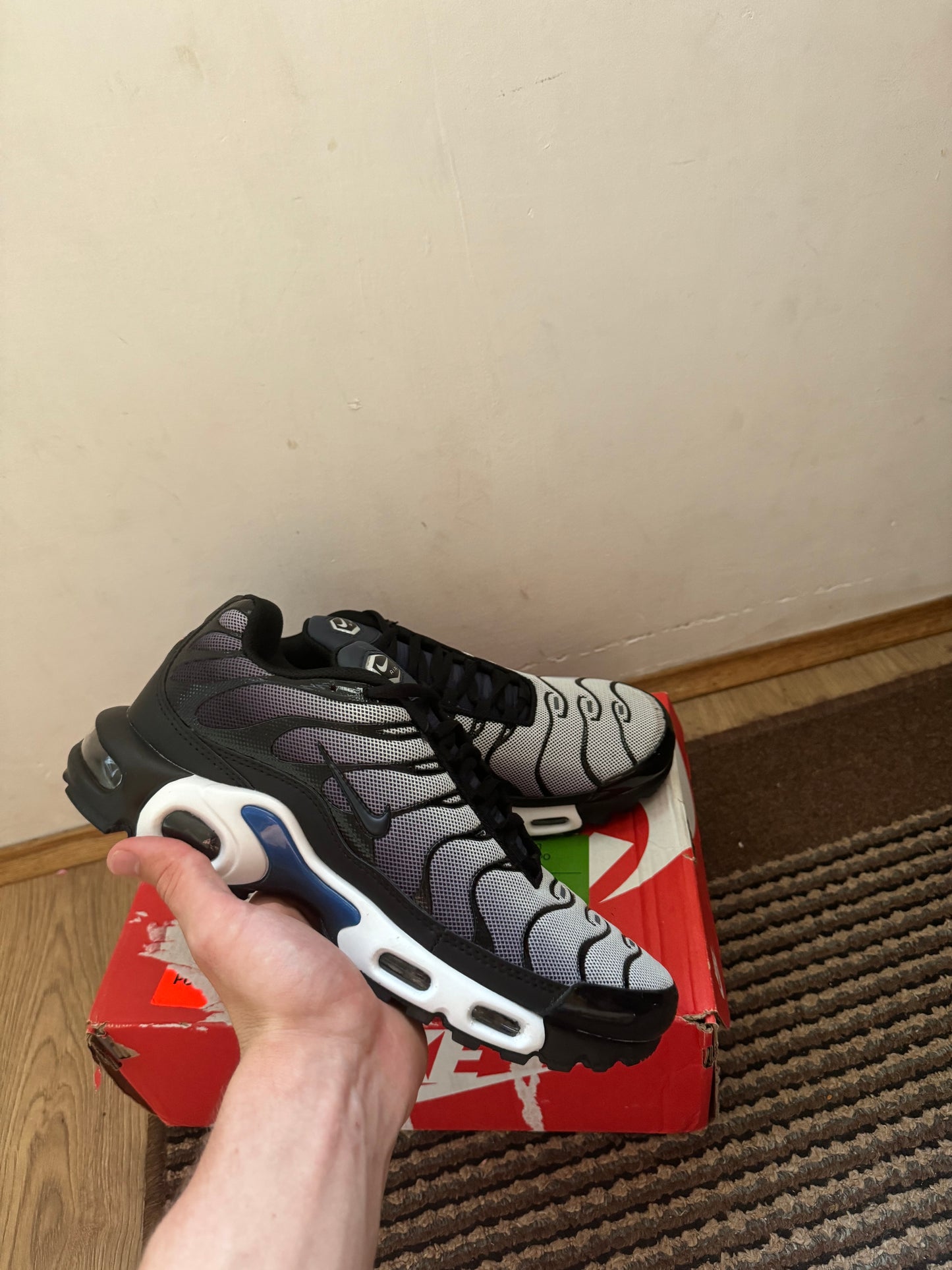 Nike Air max Plus Broj 43 (Odmah dostupno)