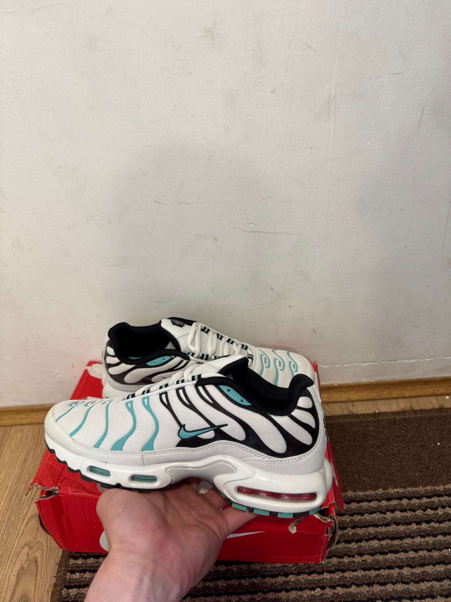 Nike Air max Plus Broj 41 (Odmah dostupno)