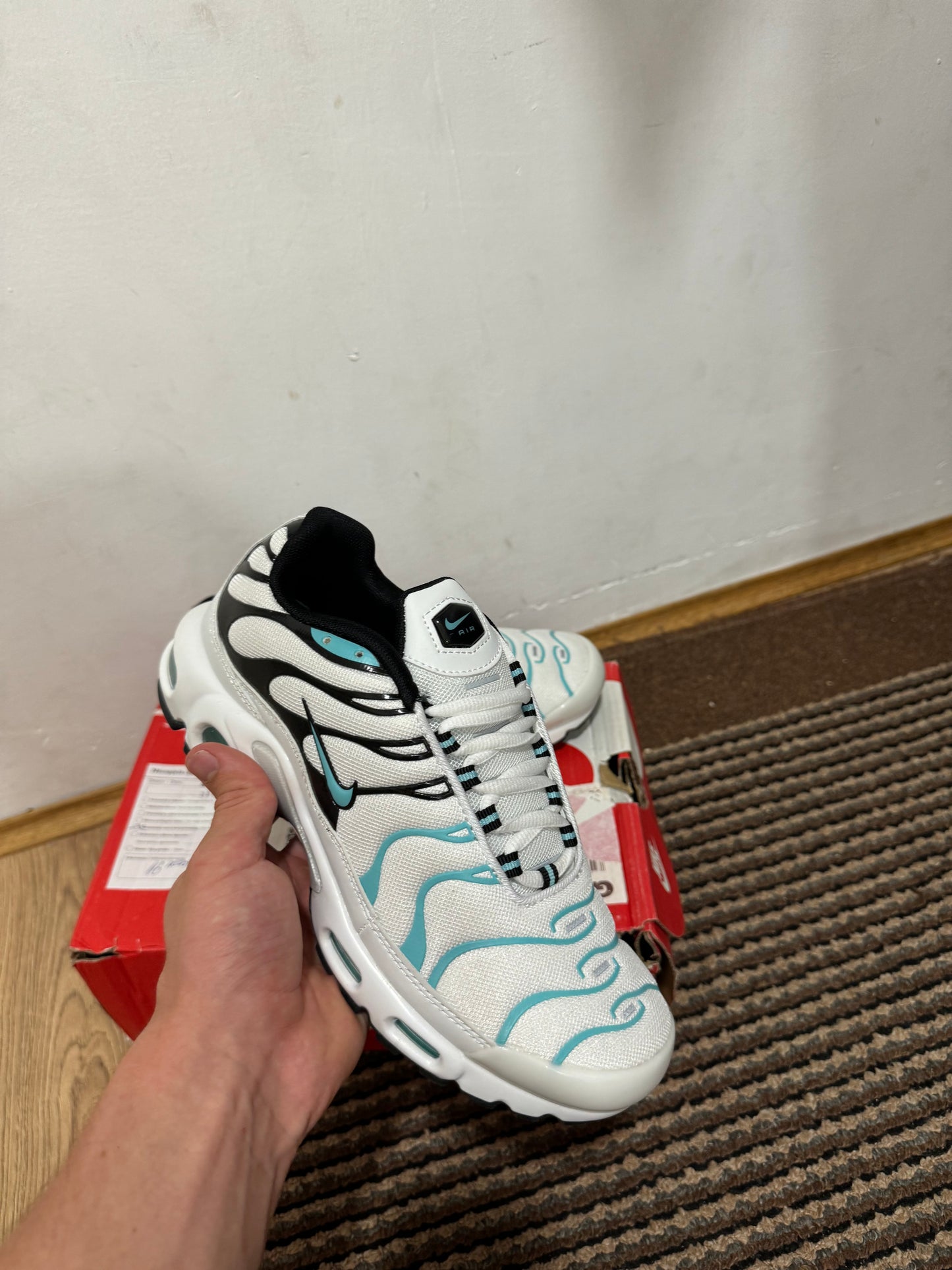 Nike Air max Plus Broj 41 (Odmah dostupno)