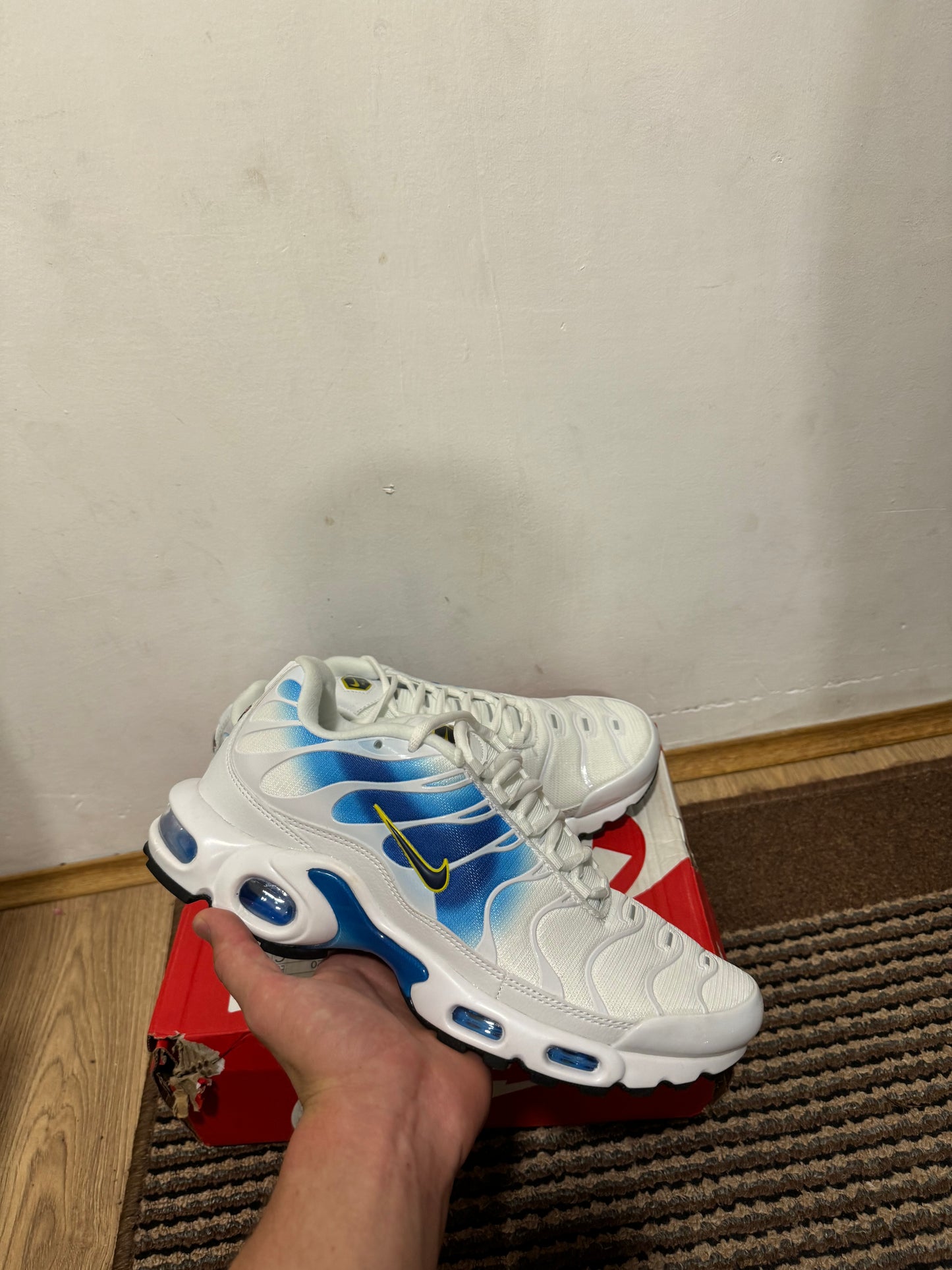 Nike Air max Plus Broj 45 (Odmah dostupne)