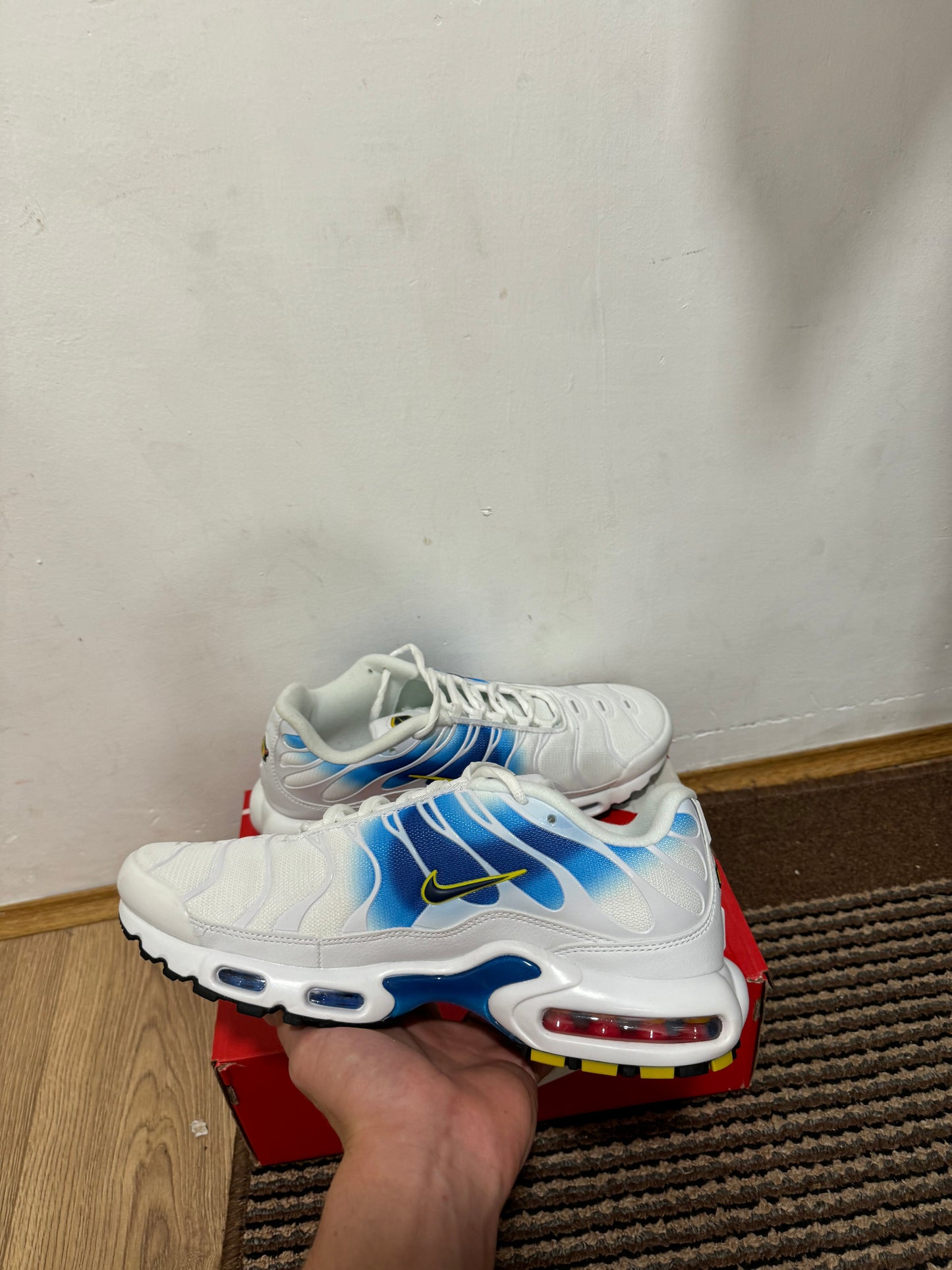 Nike Air max Plus Broj 45 (Odmah dostupno)