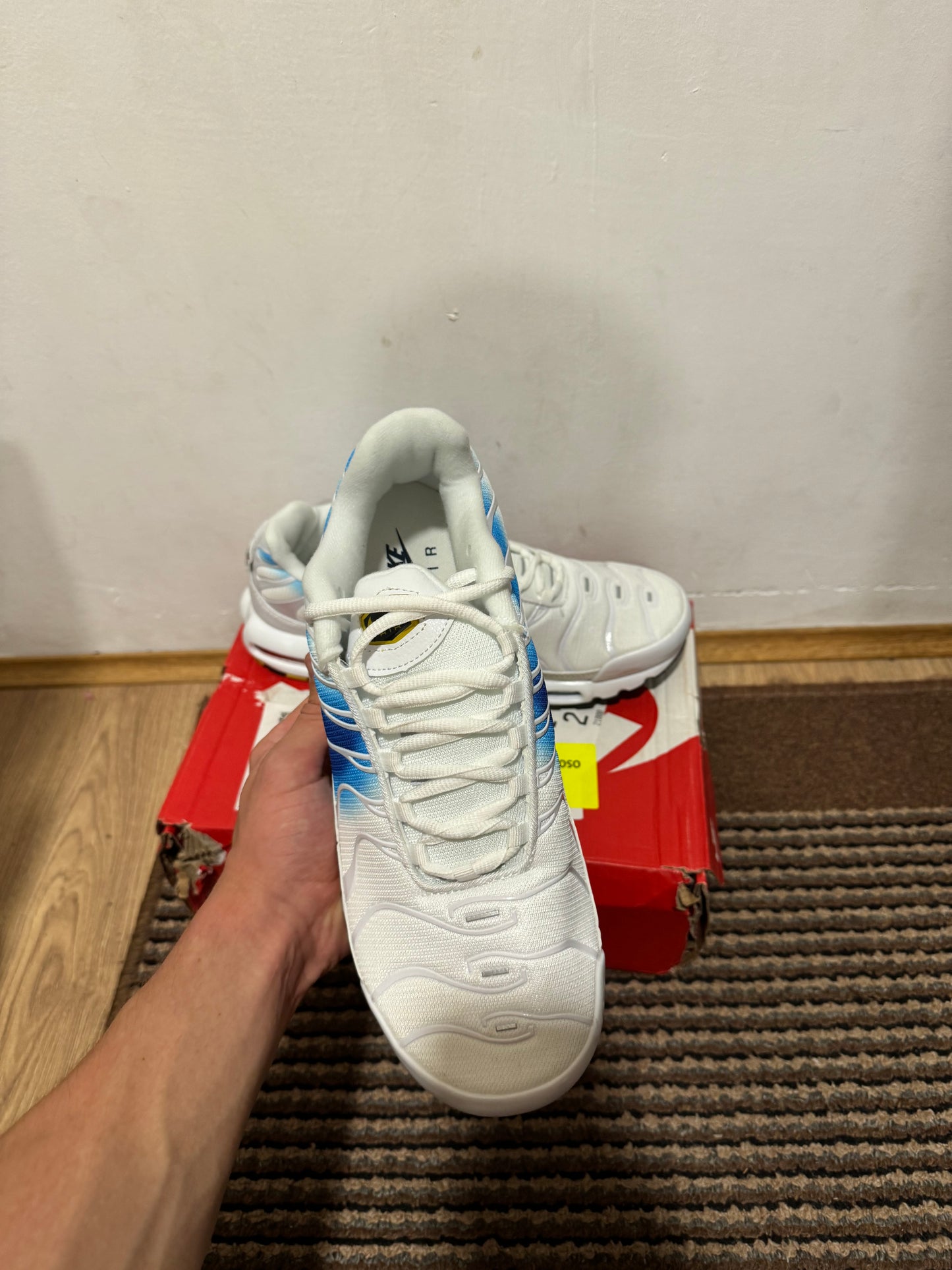 Nike Air max Plus Broj 45 (Odmah dostupne)