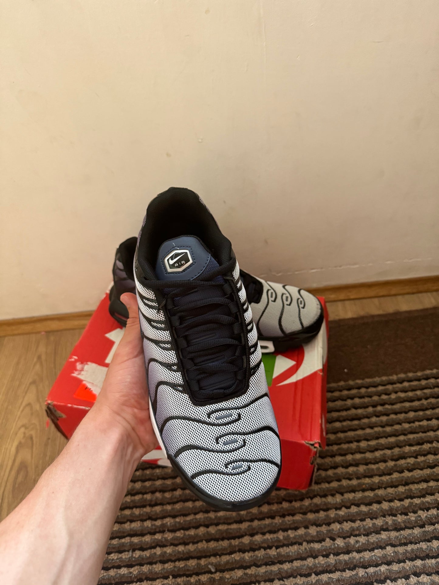 Nike Air max Plus Broj 43 (Odmah dostupno)