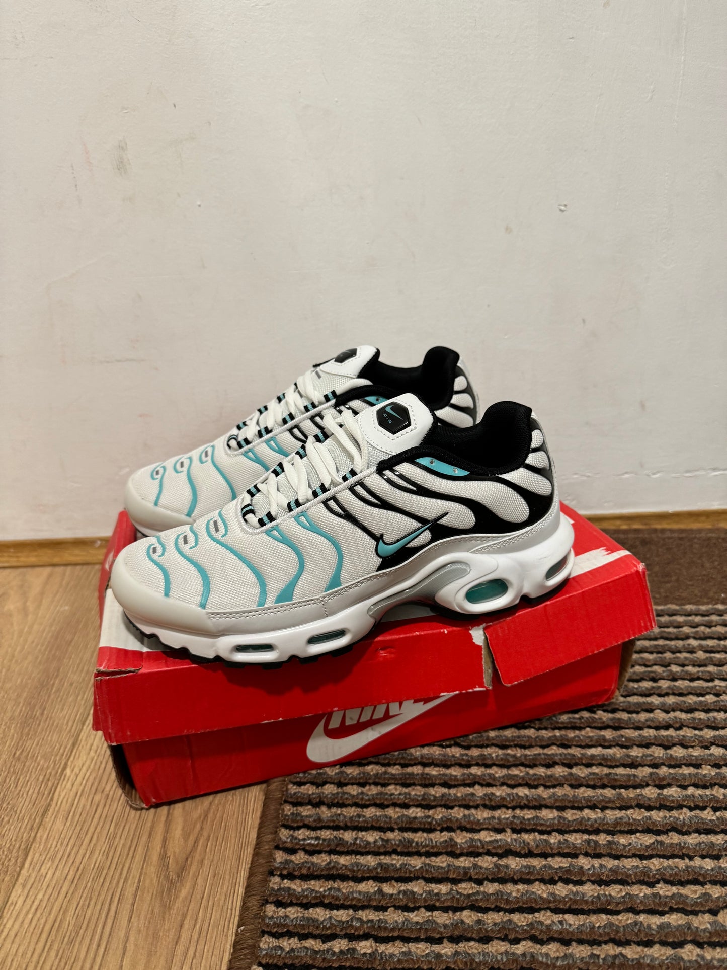 Nike Air max Plus Broj 41 (Odmah dostupno)