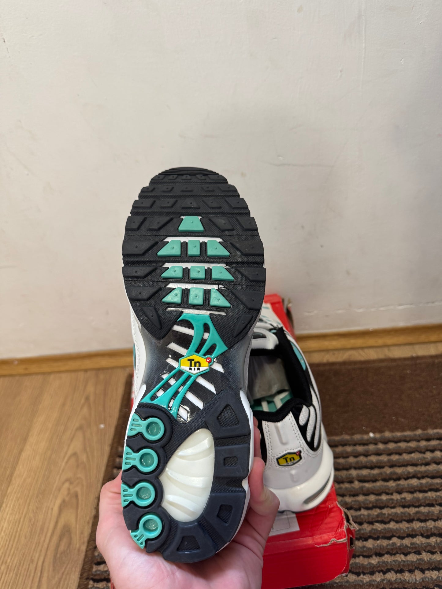 Nike Air max Plus Broj 41 (Odmah dostupno)