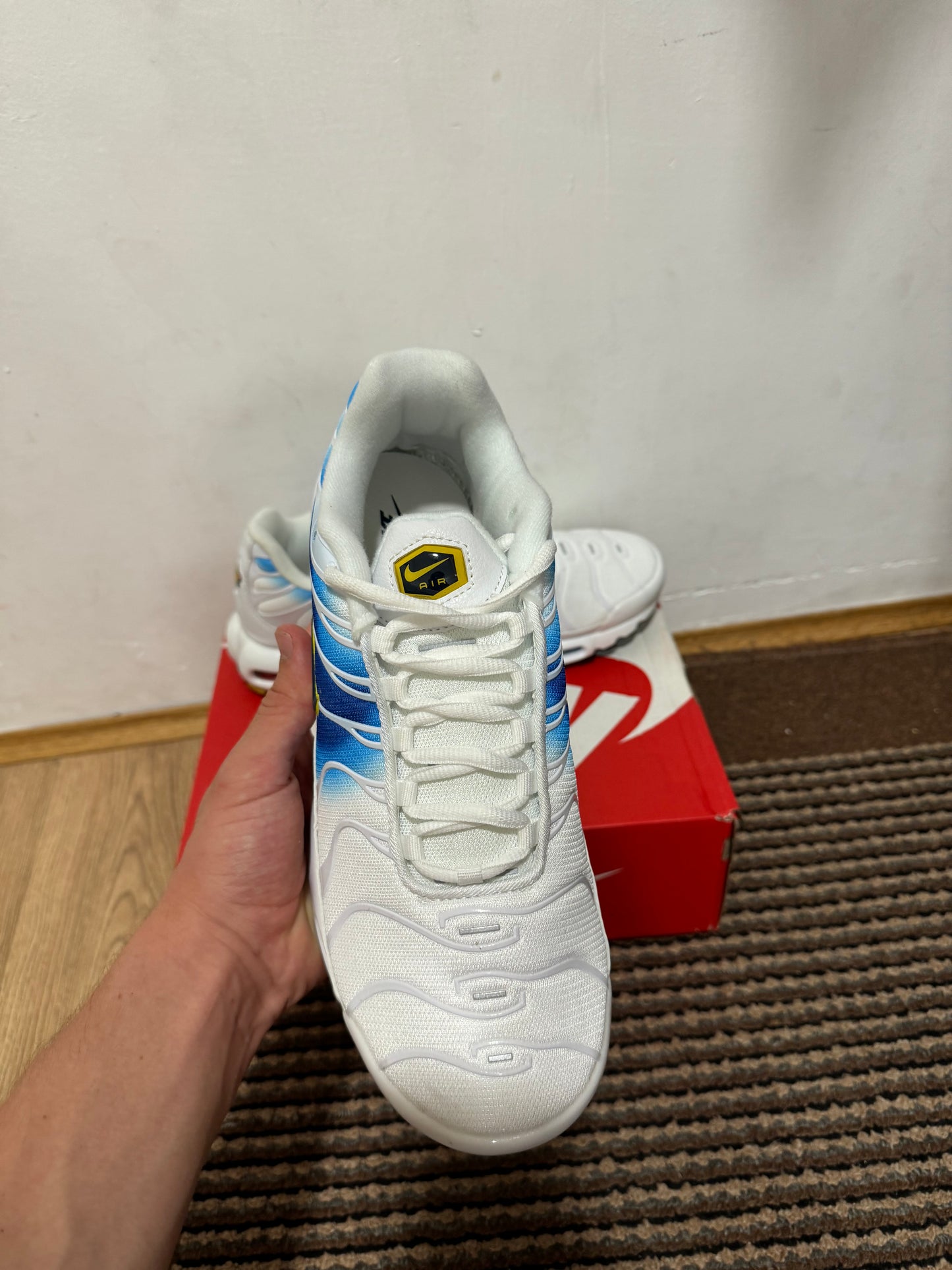 Nike Air max Plus Broj 45 (Odmah dostupno)